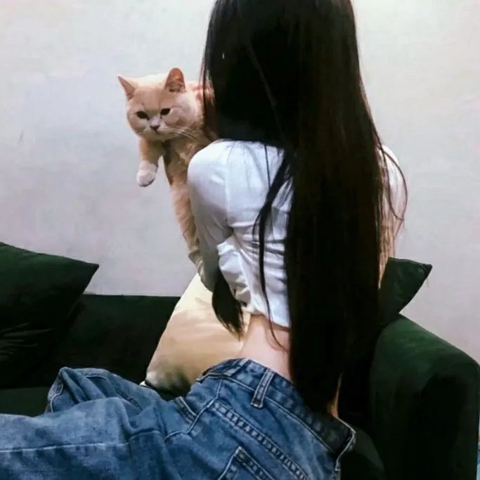 档案风暴
